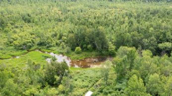 Pond - Country homes for sale and luxury real estate including horse farms and property in the Caledon and King City areas near Toronto
